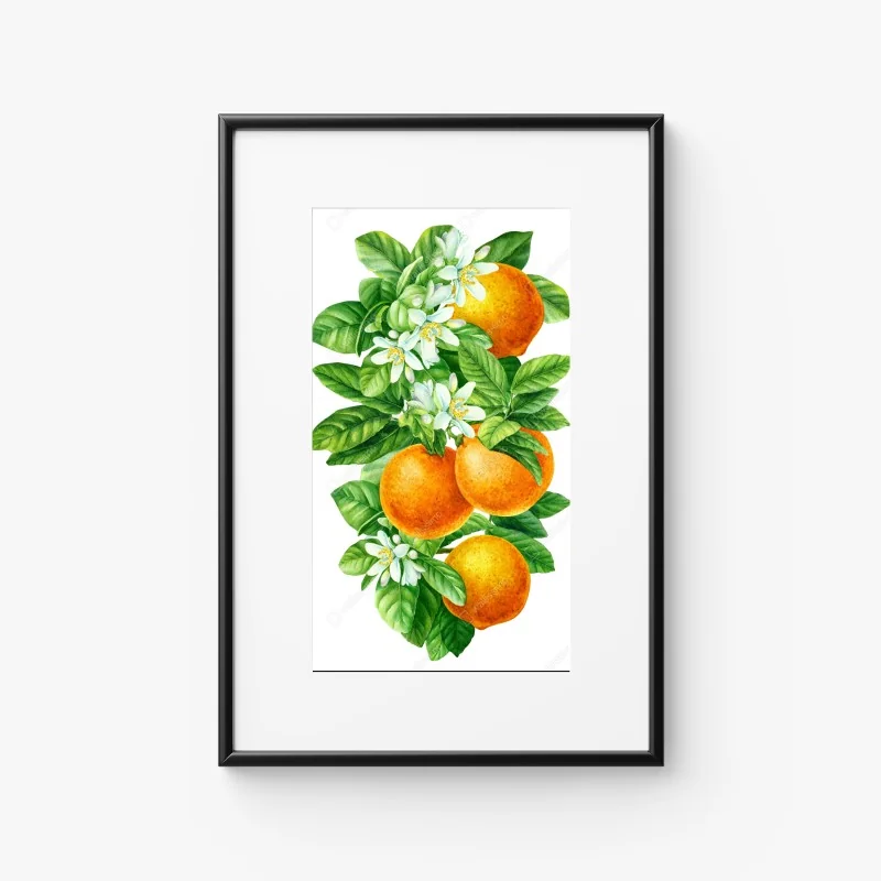 Póster ramas de naranjo con flores en acuarela – Pixers® Póster ramas de naranjo con flores en acuarela – Pixers®