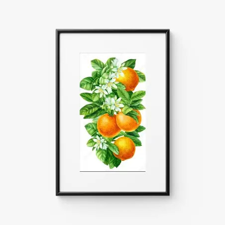 Póster ramas de naranjo con flores en acuarela – Pixers®