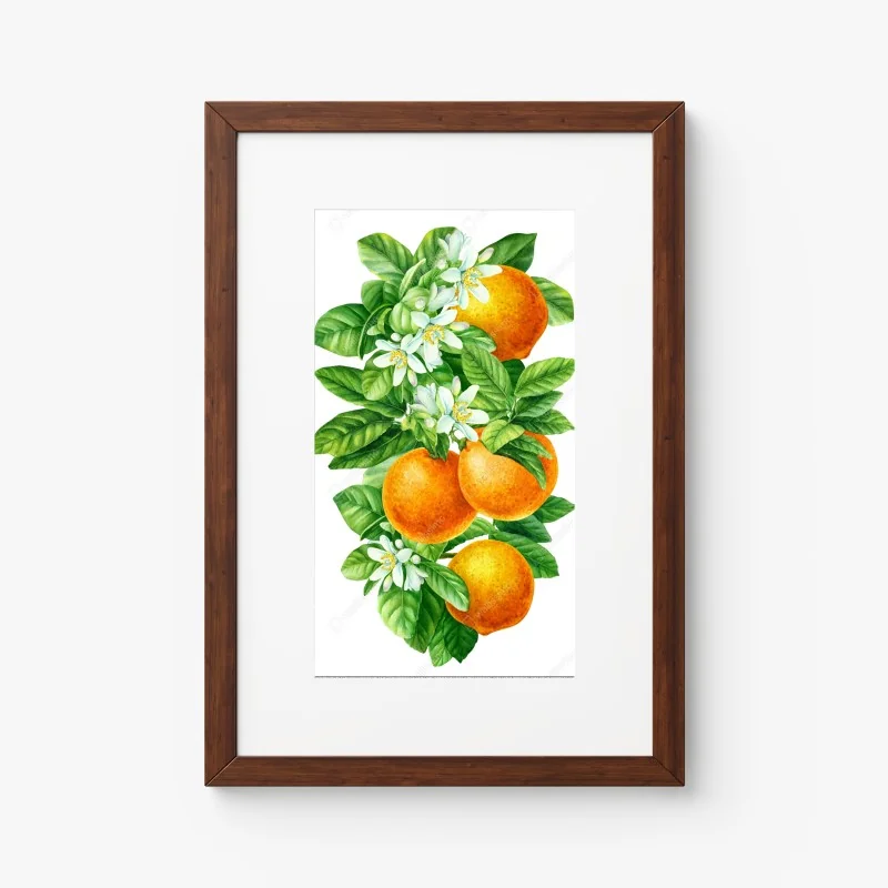 Póster ramas de naranjo con flores en acuarela – Pixers® Póster ramas de naranjo con flores en acuarela – Pixers®