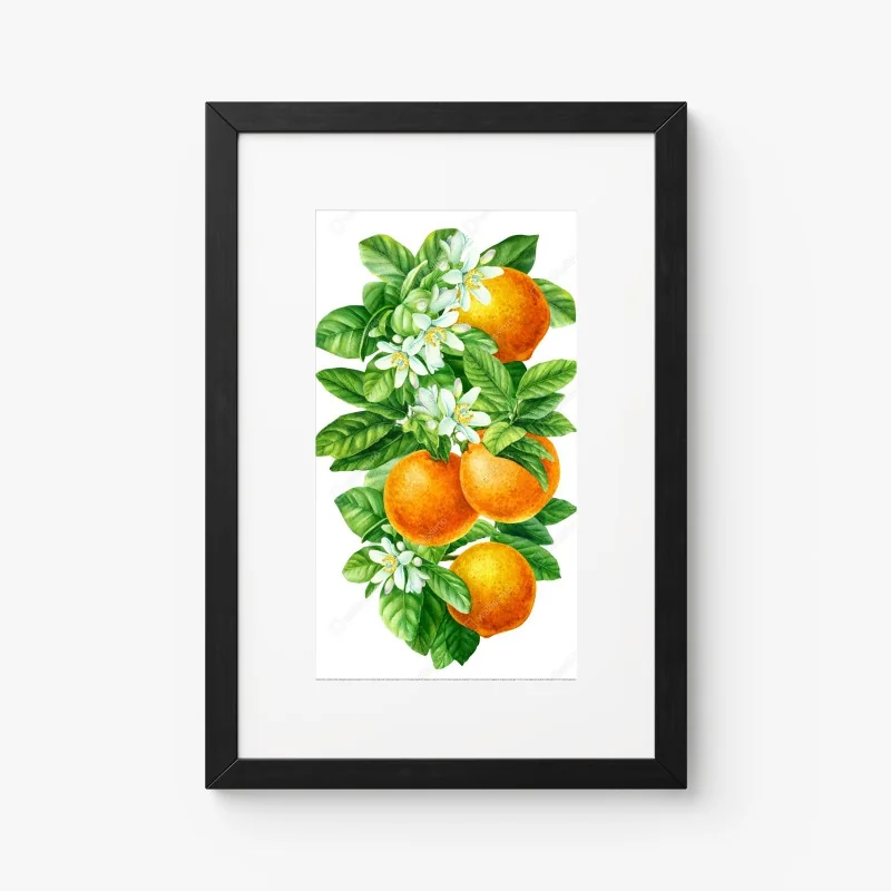Póster ramas de naranjo con flores en acuarela – Pixers® Póster ramas de naranjo con flores en acuarela – Pixers®