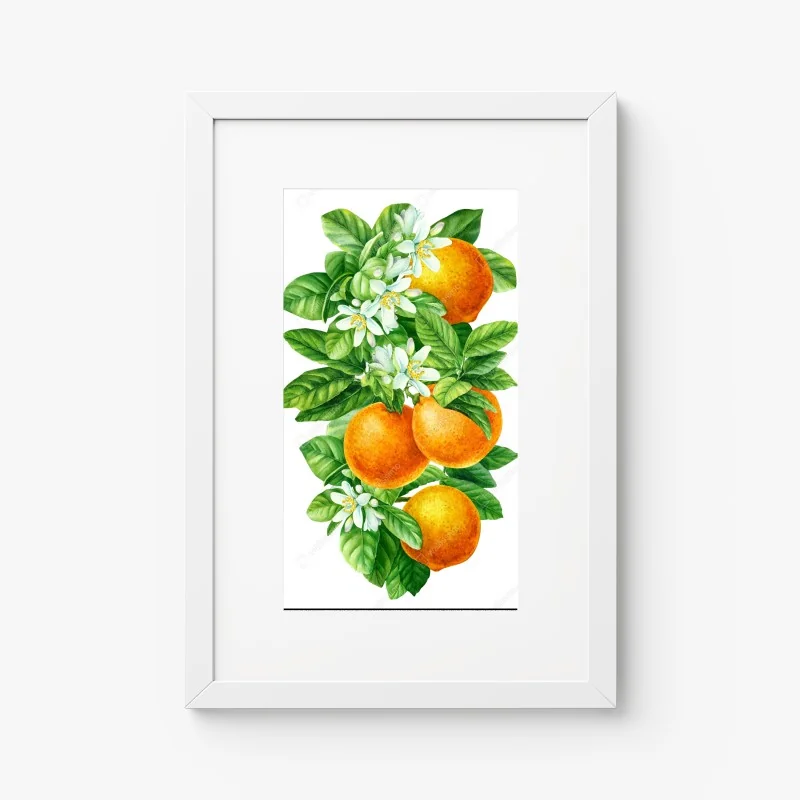 Póster ramas de naranjo con flores en acuarela – Pixers® Póster ramas de naranjo con flores en acuarela – Pixers®
