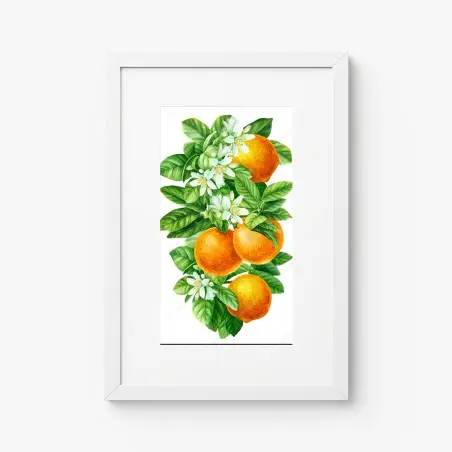 Póster ramas de naranjo con flores en acuarela – Pixers®
