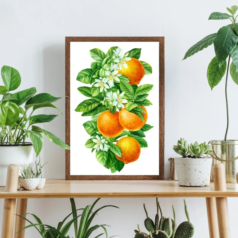 Póster ramas de naranjo con flores en acuarela – Pixers® Póster ramas de naranjo con flores en acuarela – Pixers®