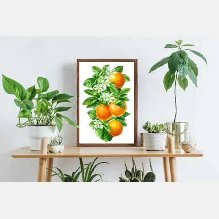 Póster ramas de naranjo con flores en acuarela – Pixers®