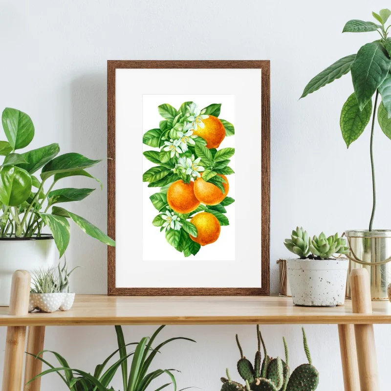Póster ramas de naranjo con flores en acuarela – Pixers® Póster ramas de naranjo con flores en acuarela – Pixers®