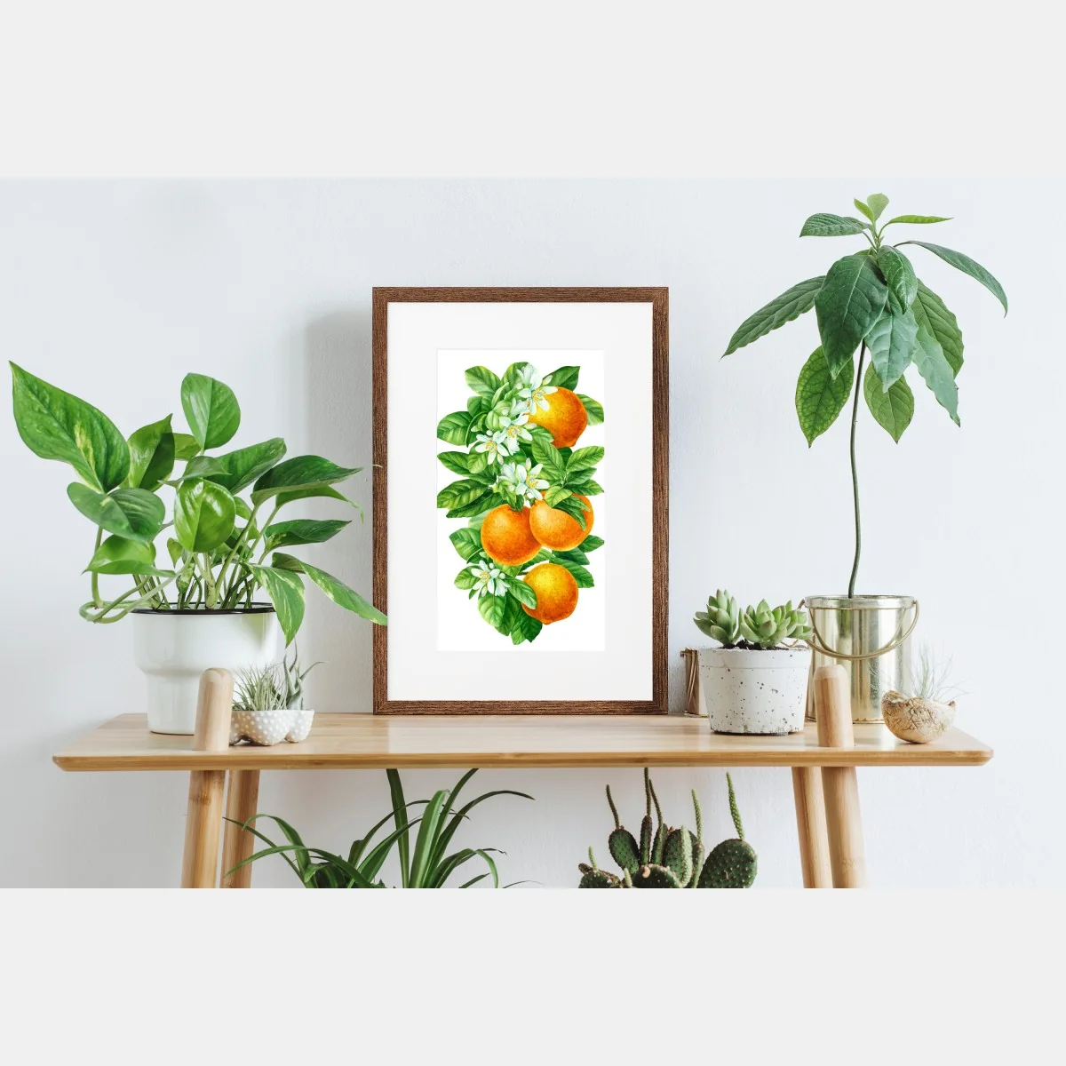 Póster ramas de naranjo con flores en acuarela – Pixers® Póster ramas de naranjo con flores en acuarela – Pixers®